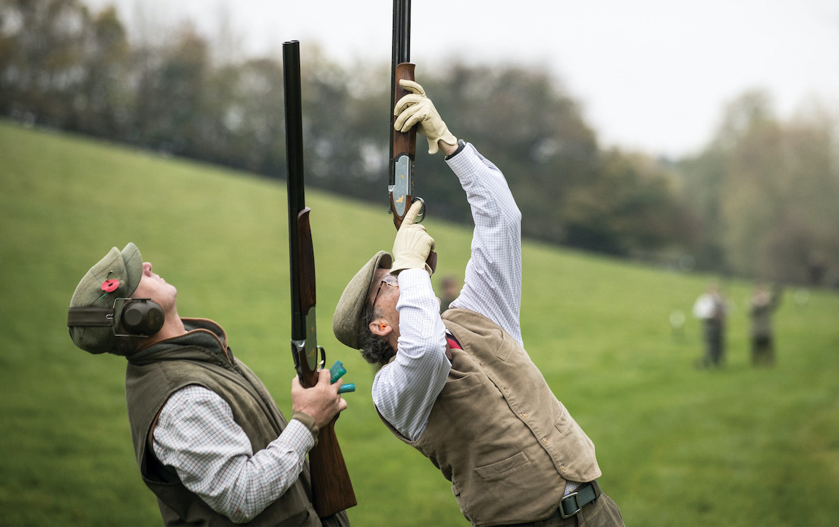 pheasant shooting