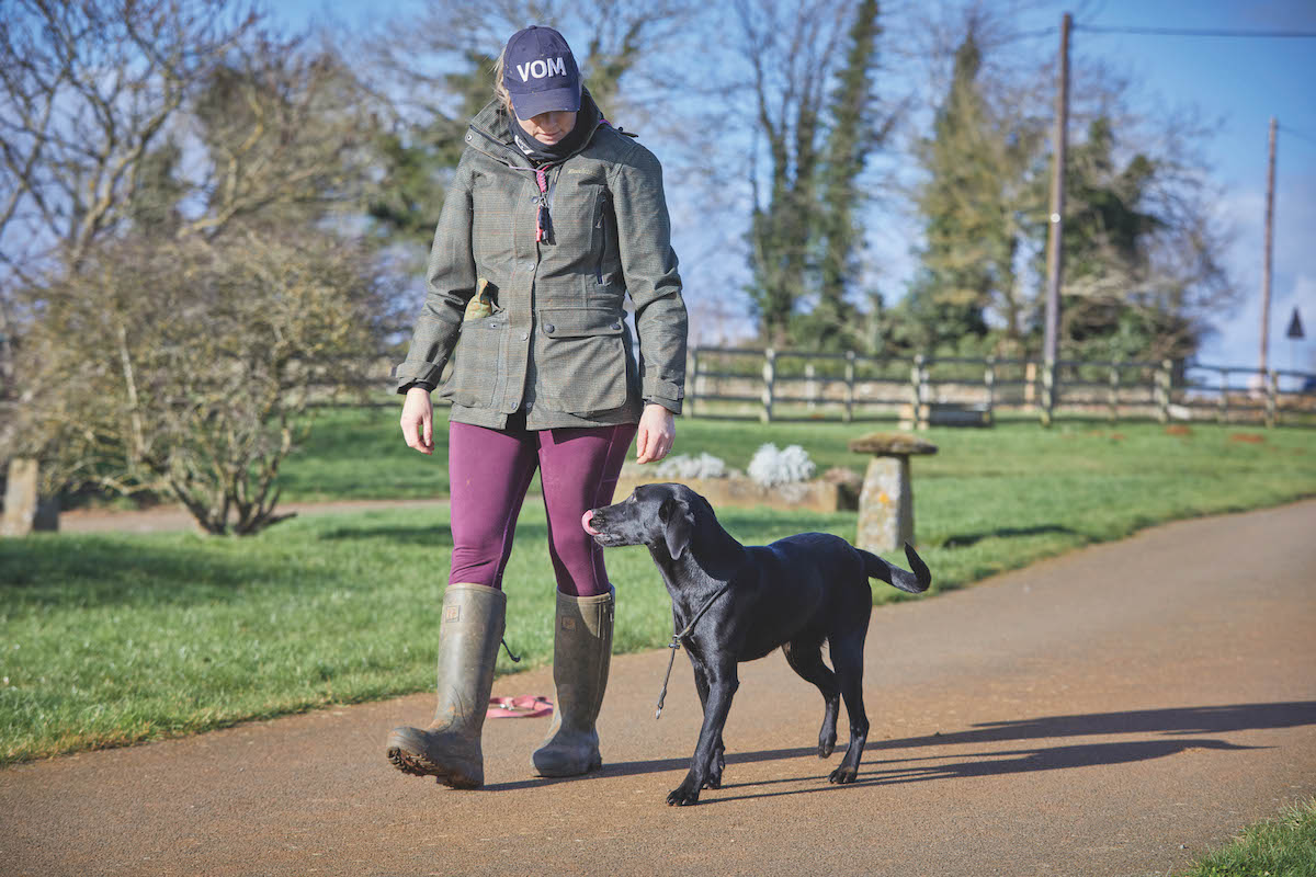 Dog training with slip lead