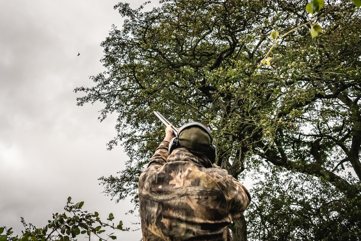 Pigeon shooting