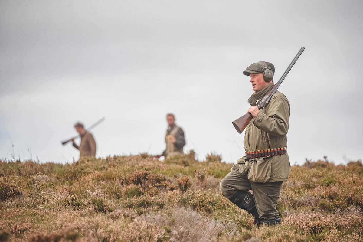 walked-up grouse day