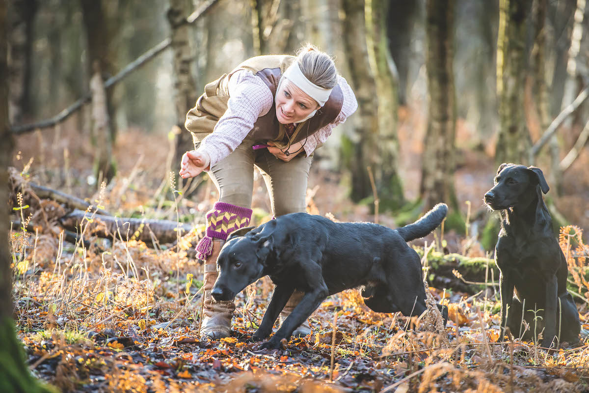 training working dog