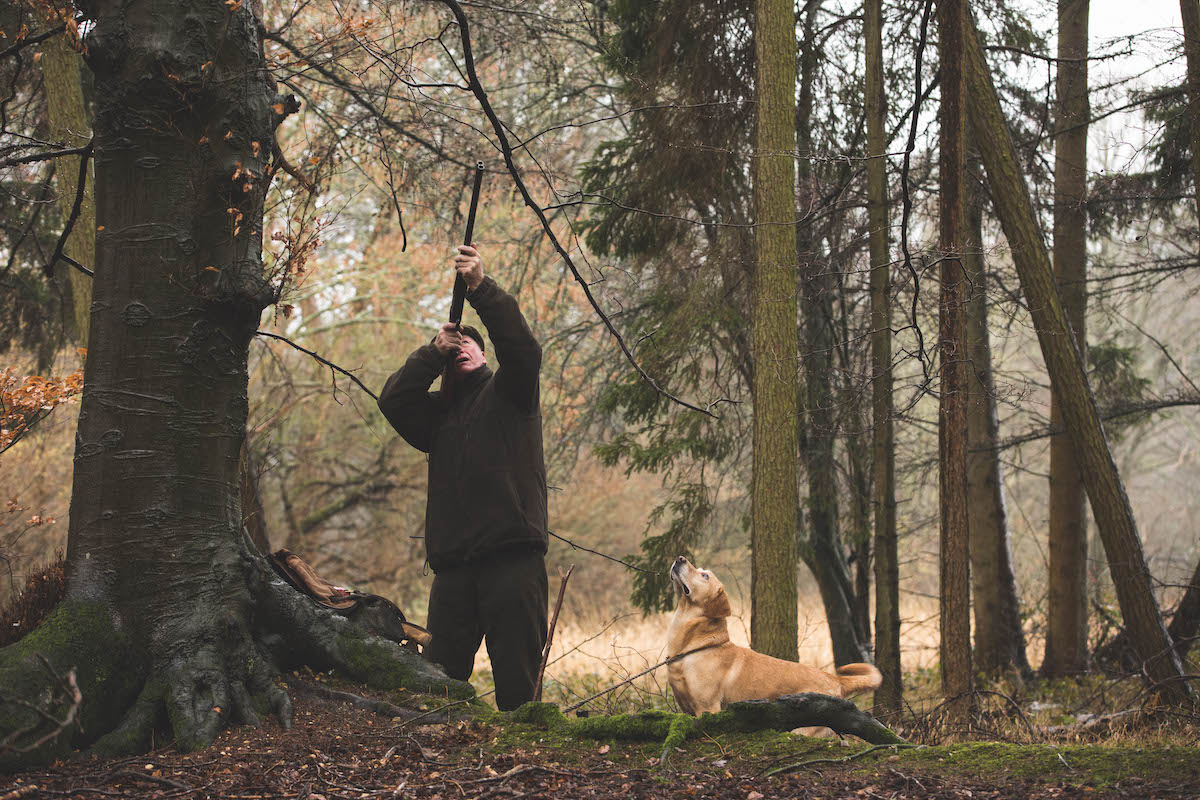 shooting shotgun in wood