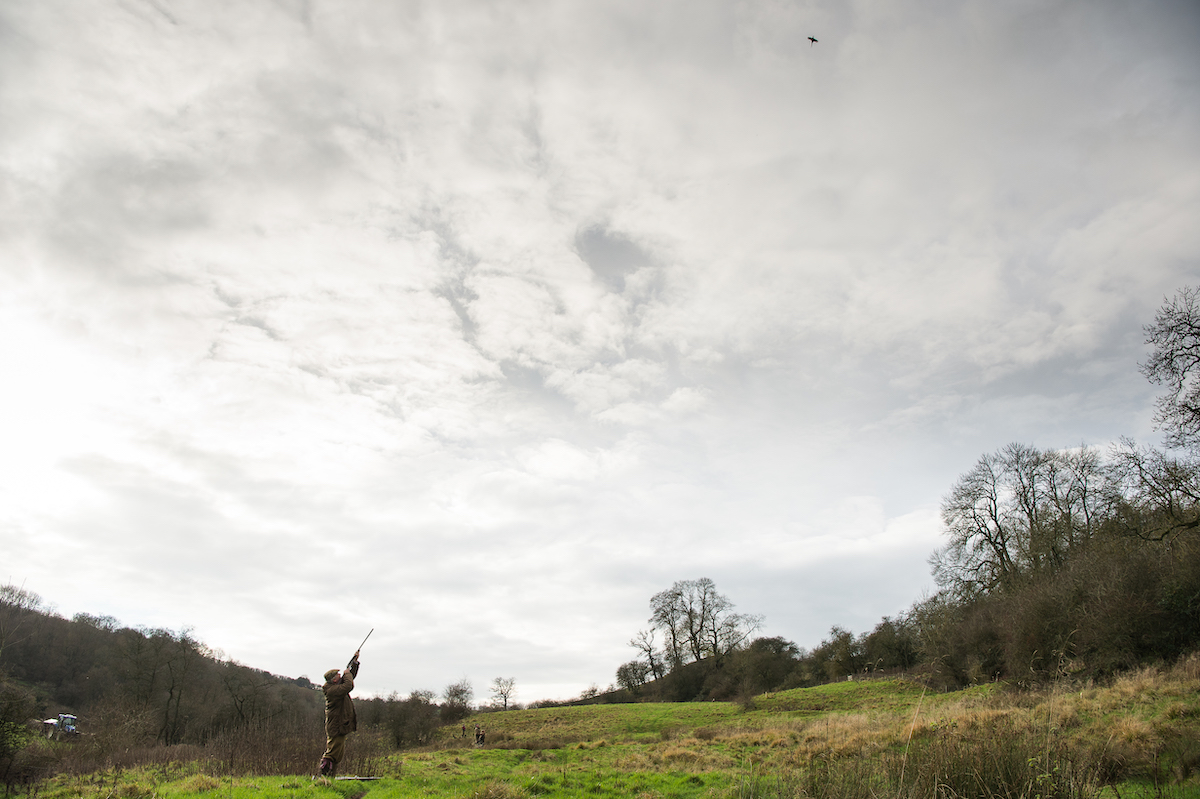 high birds shooting