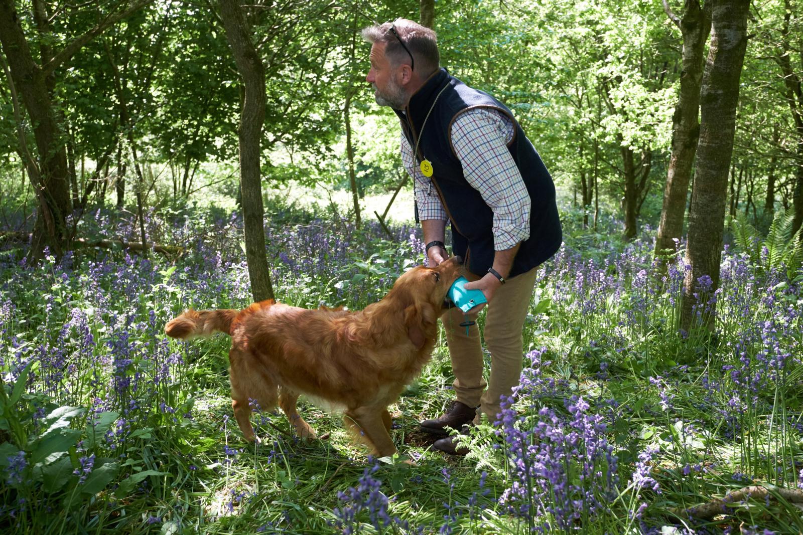 Working retriever