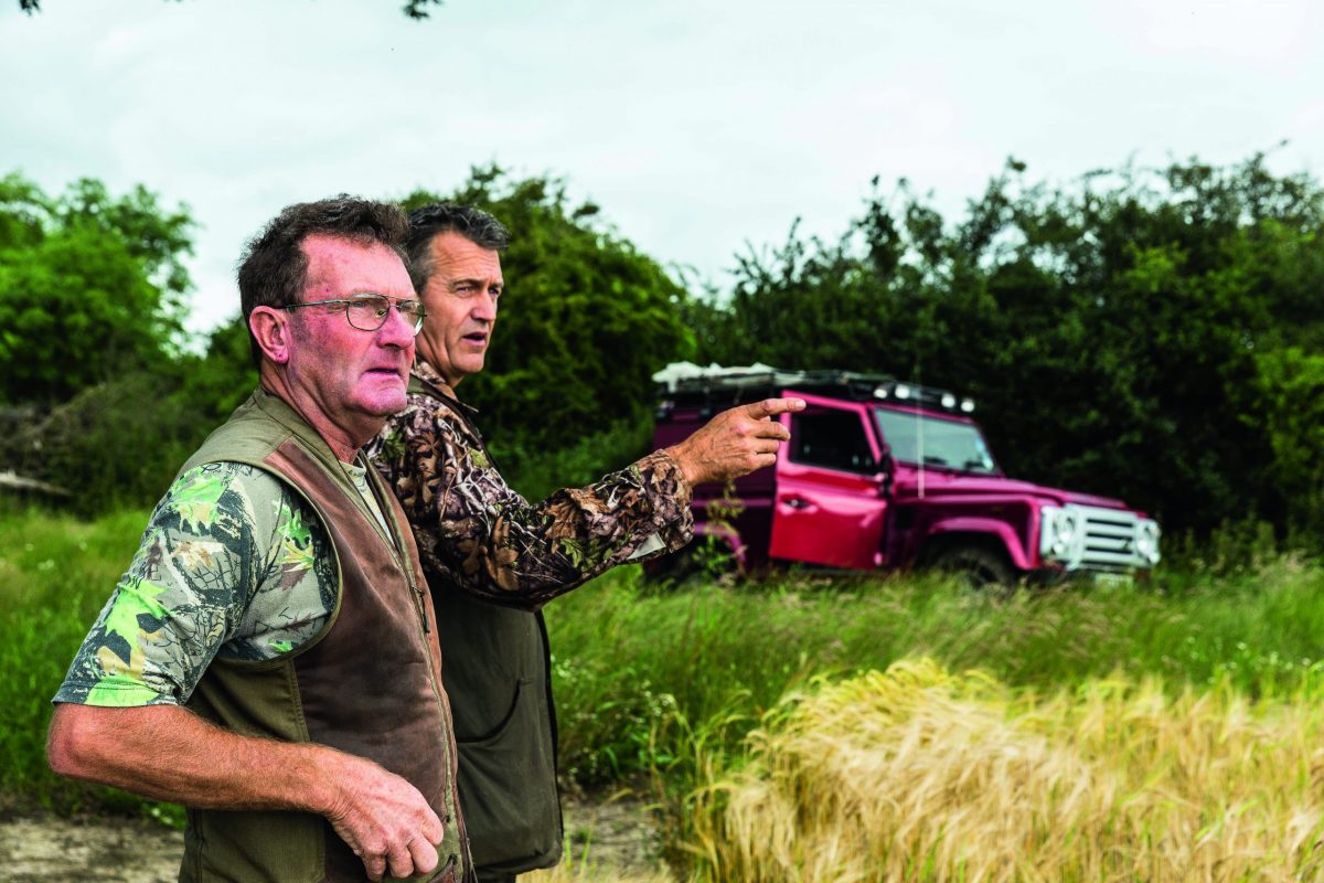 pigeon shooting partner