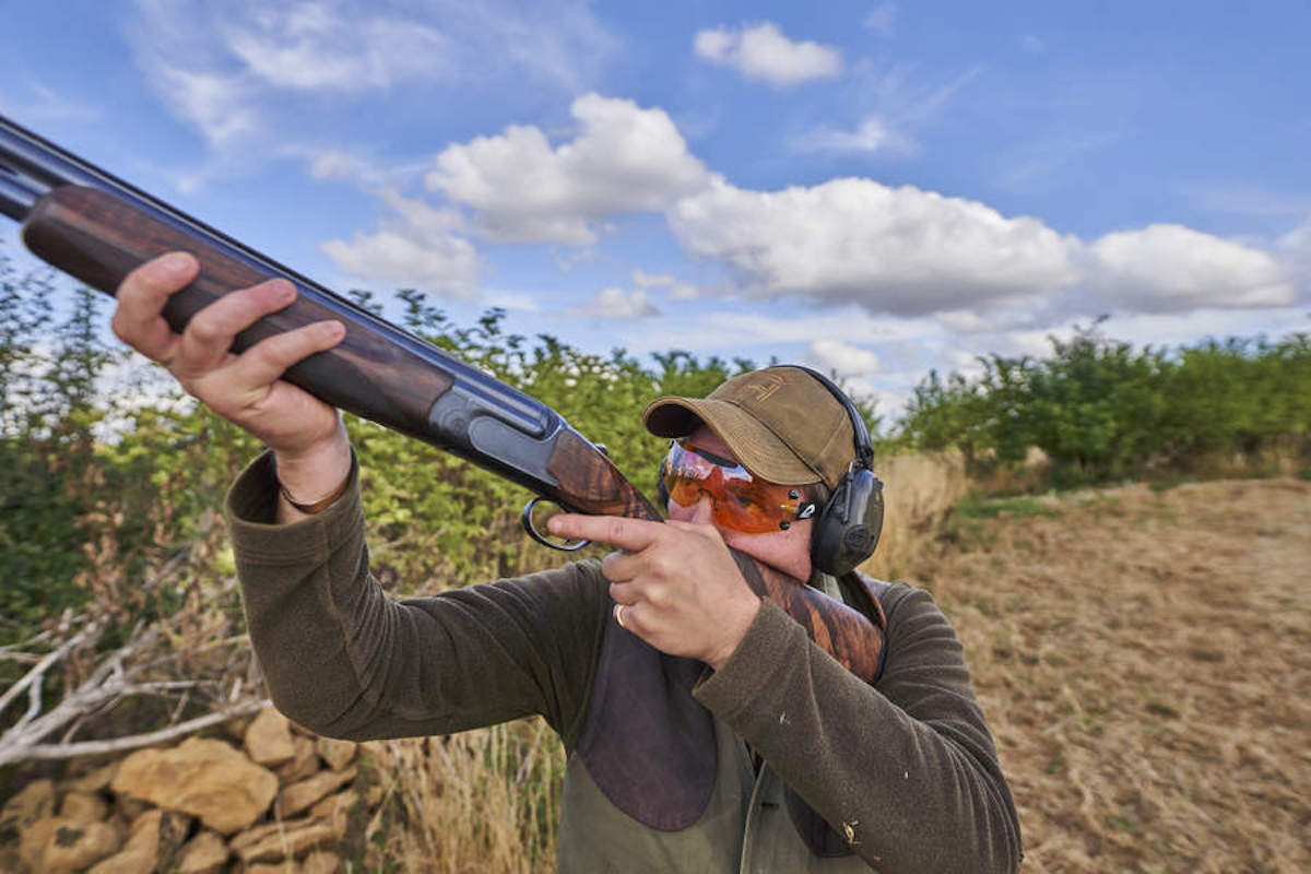 pigeon shooting