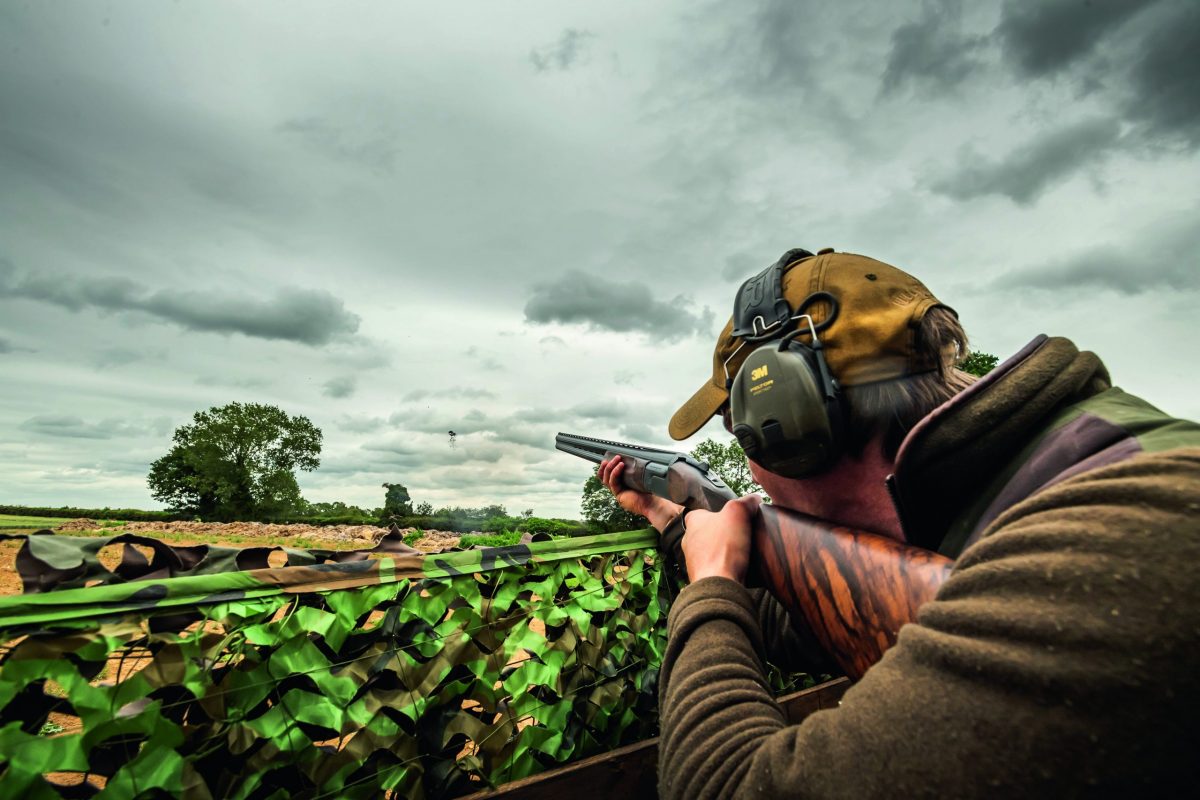 Pigeon shooting