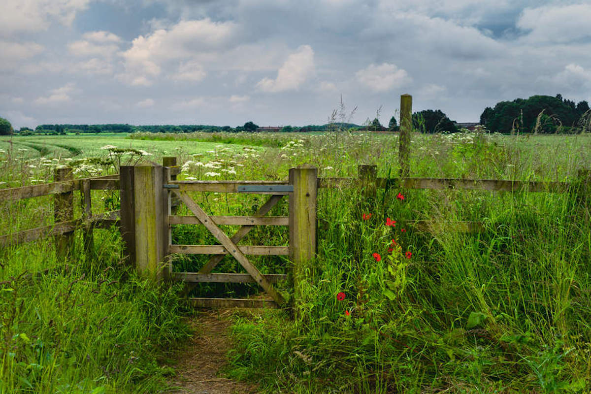 country gate