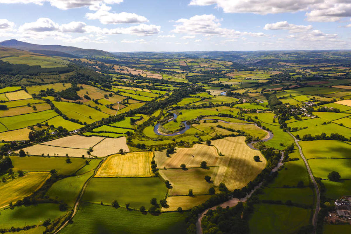 Welsh farmland