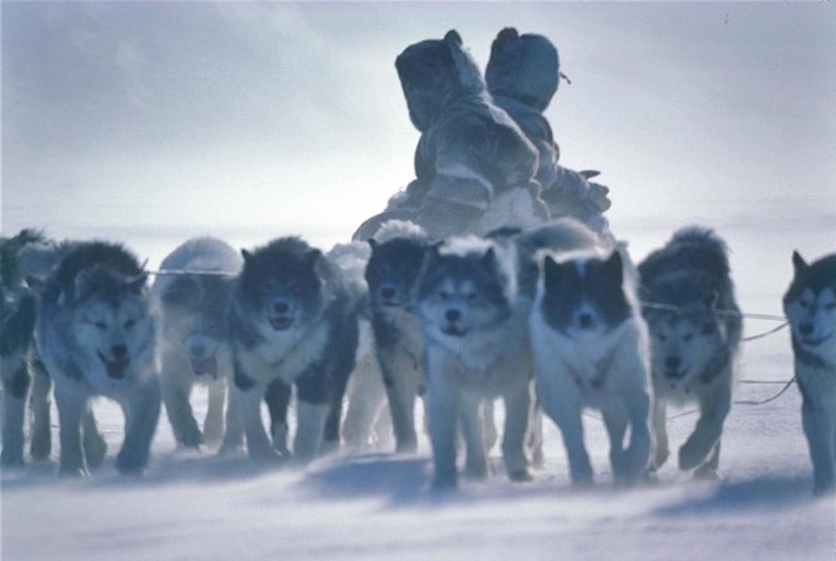 Inuit with sled