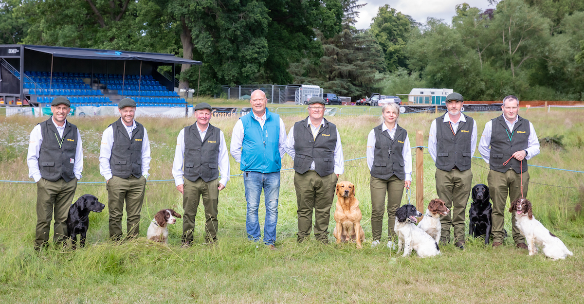 Team Ireland gundogs