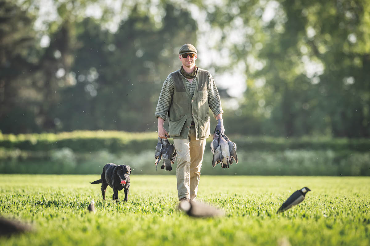 pigeon shooting